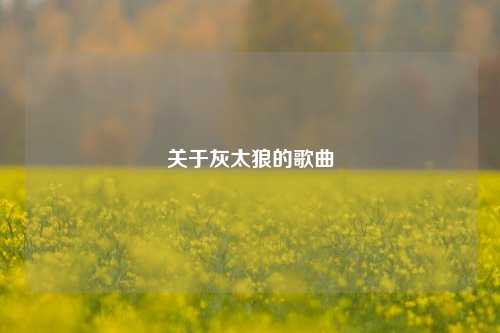 关于灰太狼的歌曲