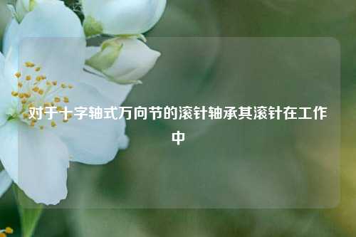 对于十字轴式万向节的滚针轴承其滚针在工作中