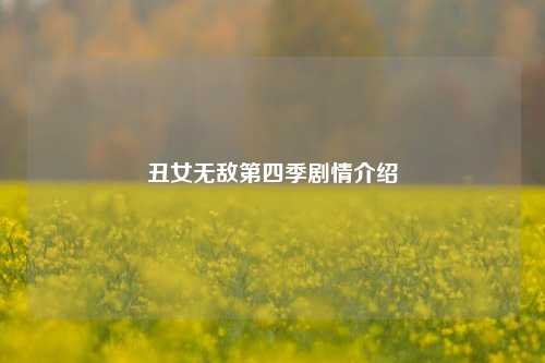 丑女无敌第四季剧情介绍