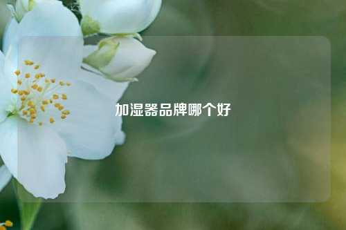 加湿器品牌哪个好