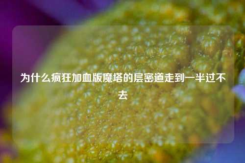 为什么疯狂加血版魔塔的层密道走到一半过不去