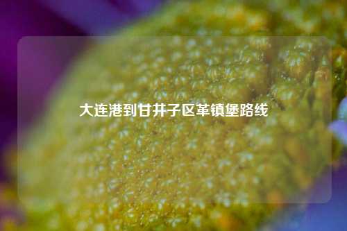 大连港到甘井子区革镇堡路线