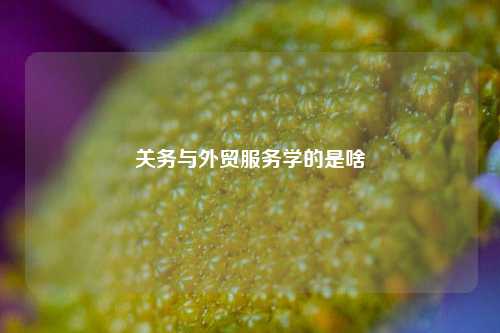 关务与外贸服务学的是啥