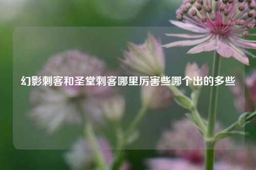 幻影刺客和圣堂刺客哪里厉害些哪个出的多些