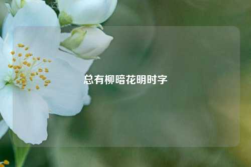 总有柳暗花明时字