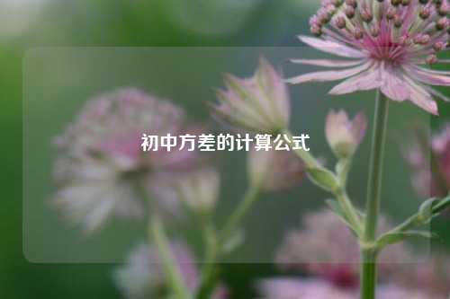 初中方差的计算公式