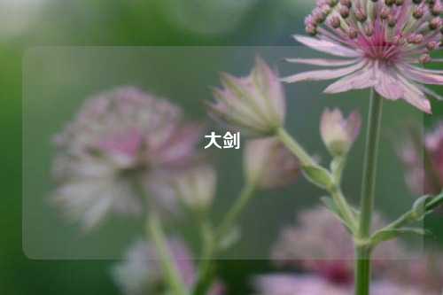 大剑