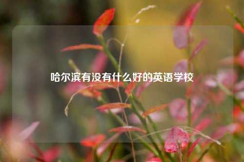 哈尔滨有没有什么好的英语学校