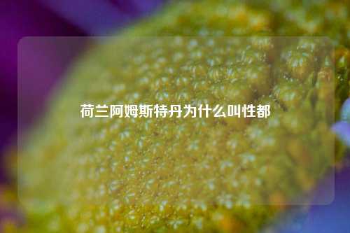 荷兰阿姆斯特丹为什么叫性都