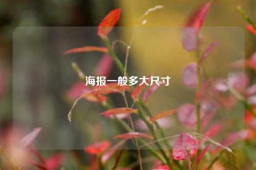 海报一般多大尺寸