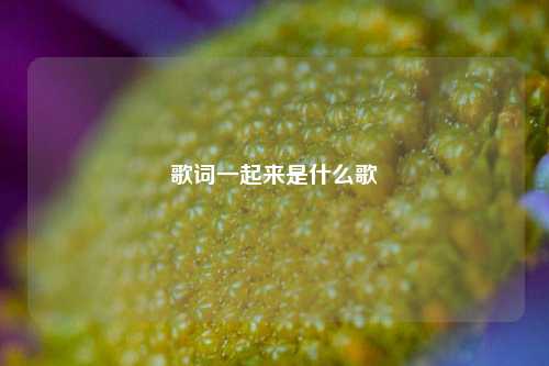 歌词一起来是什么歌