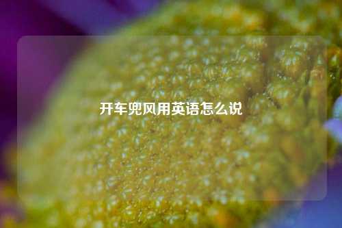 开车兜风用英语怎么说