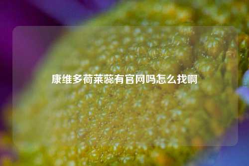 康维多荷莱蕊有官网吗怎么找啊