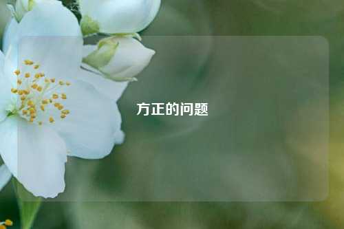 方正的问题