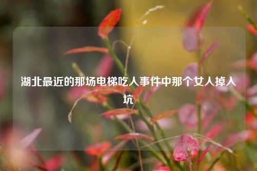 湖北最近的那场电梯吃人事件中那个女人掉入坑