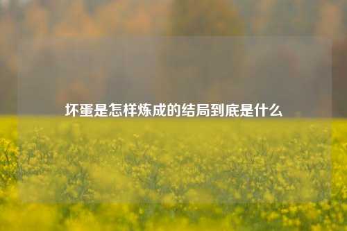 坏蛋是怎样炼成的结局到底是什么