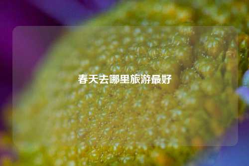 春天去哪里旅游最好