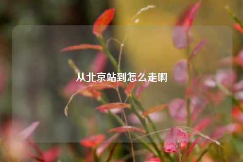 从北京站到怎么走啊