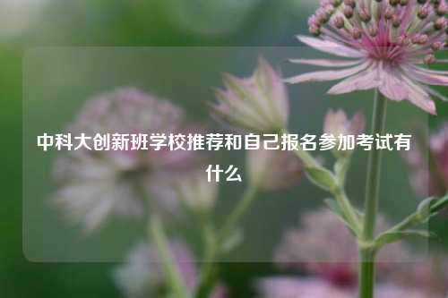 中科大创新班学校推荐和自己报名参加考试有什么