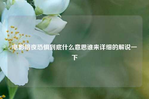 电影暗夜恐惧到底什么意思谁来详细的解说一下