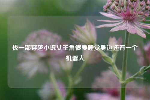 找一部穿越小说女主角很爱睡觉身边还有一个机器人