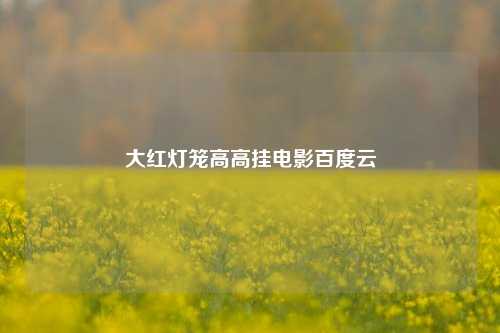 大红灯笼高高挂电影百度云