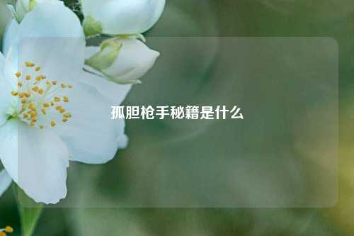孤胆枪手秘籍是什么